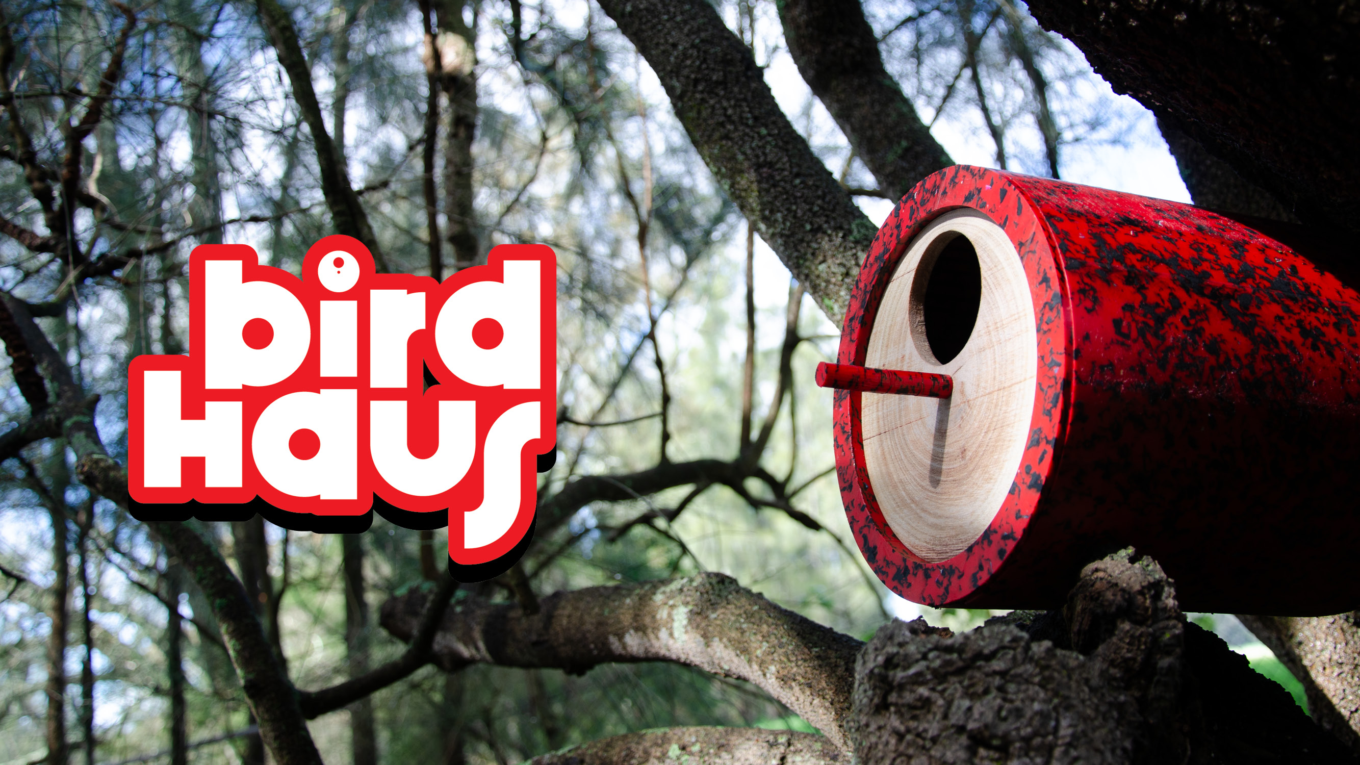 'Birdhaus', 2025. Grey gum, recycled plastic, card