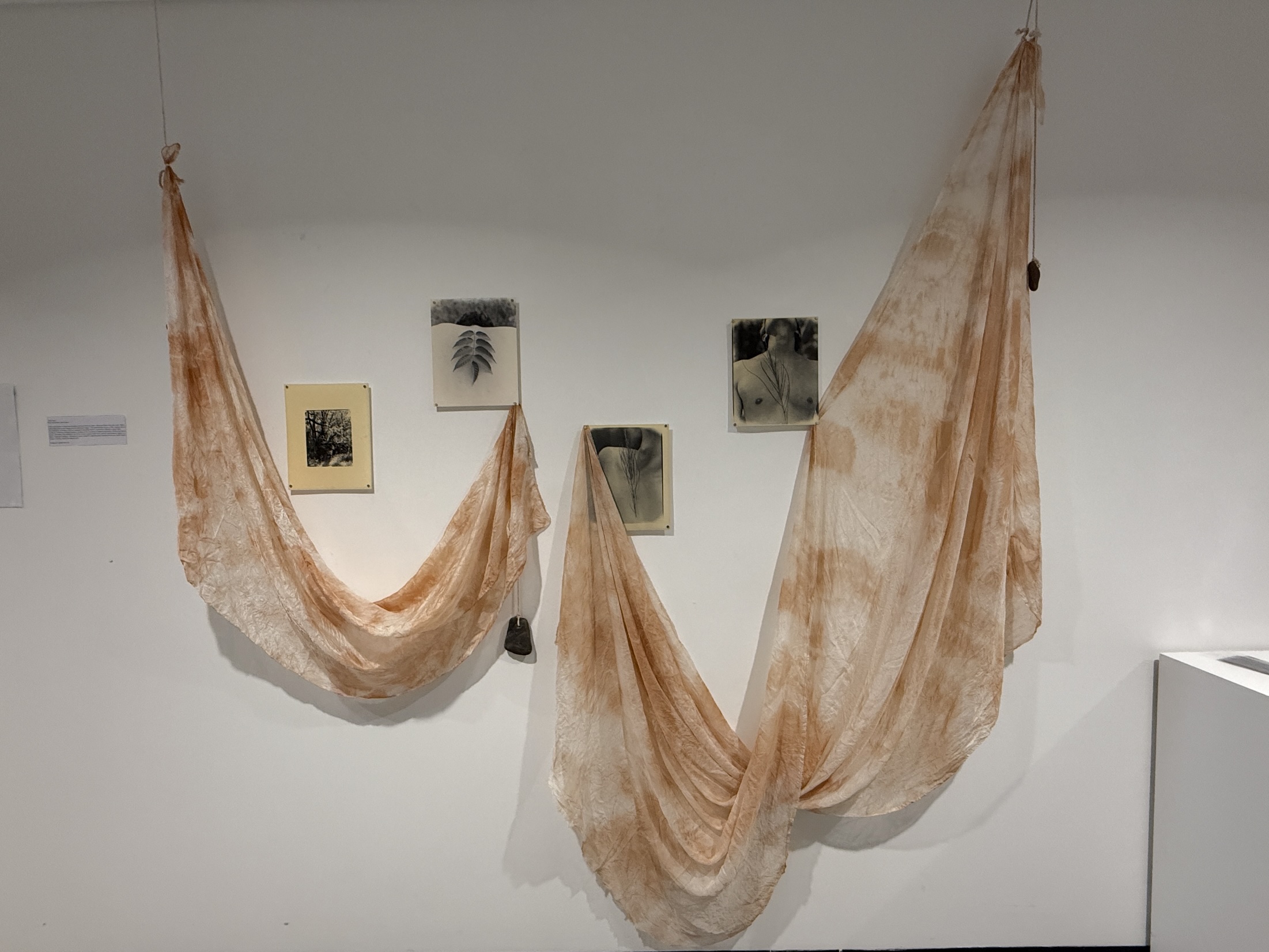 'Skins', 2025. Silk fabrication, Photo paper