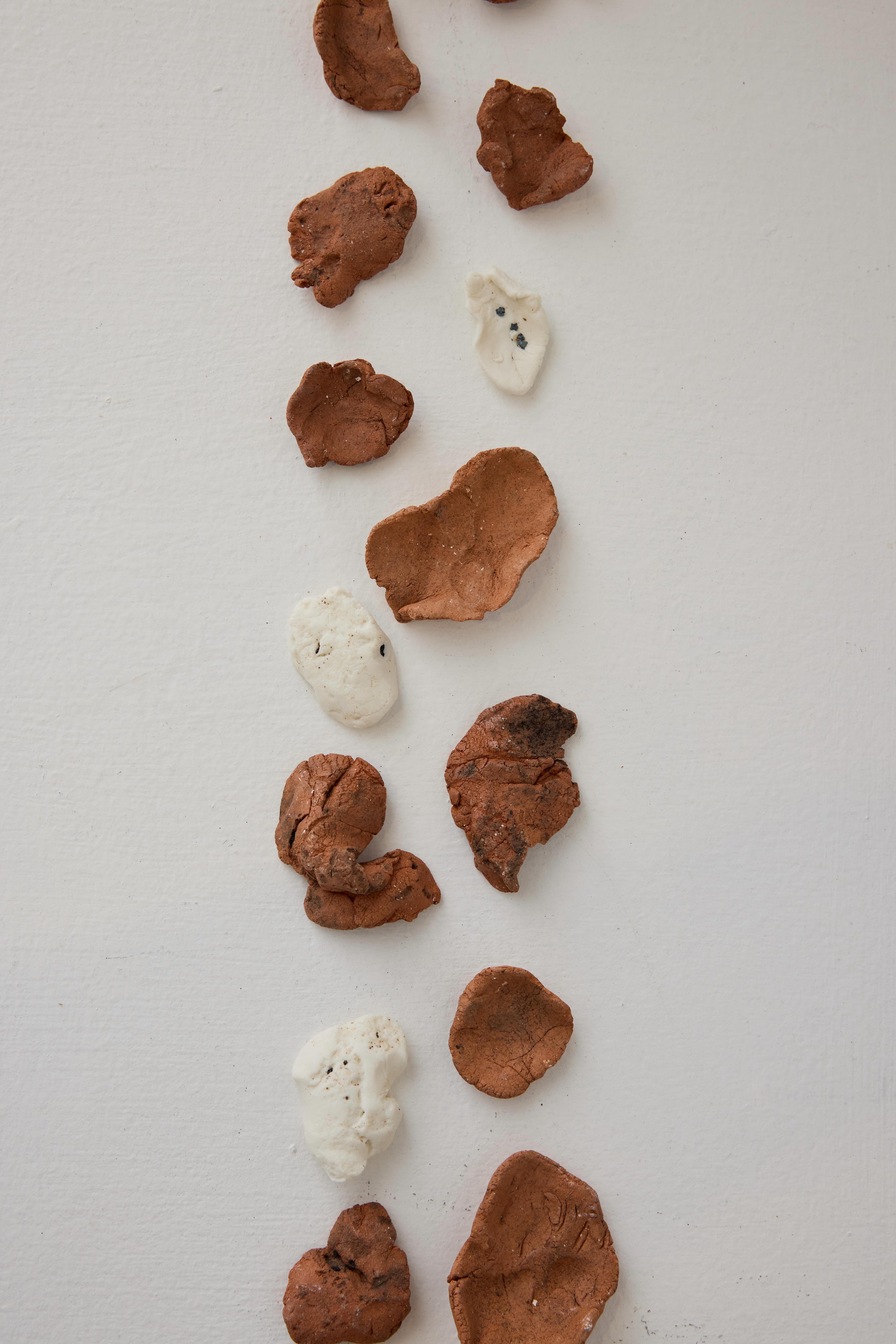 'Embodied Materialities', 2025. Terracotta, porcelain