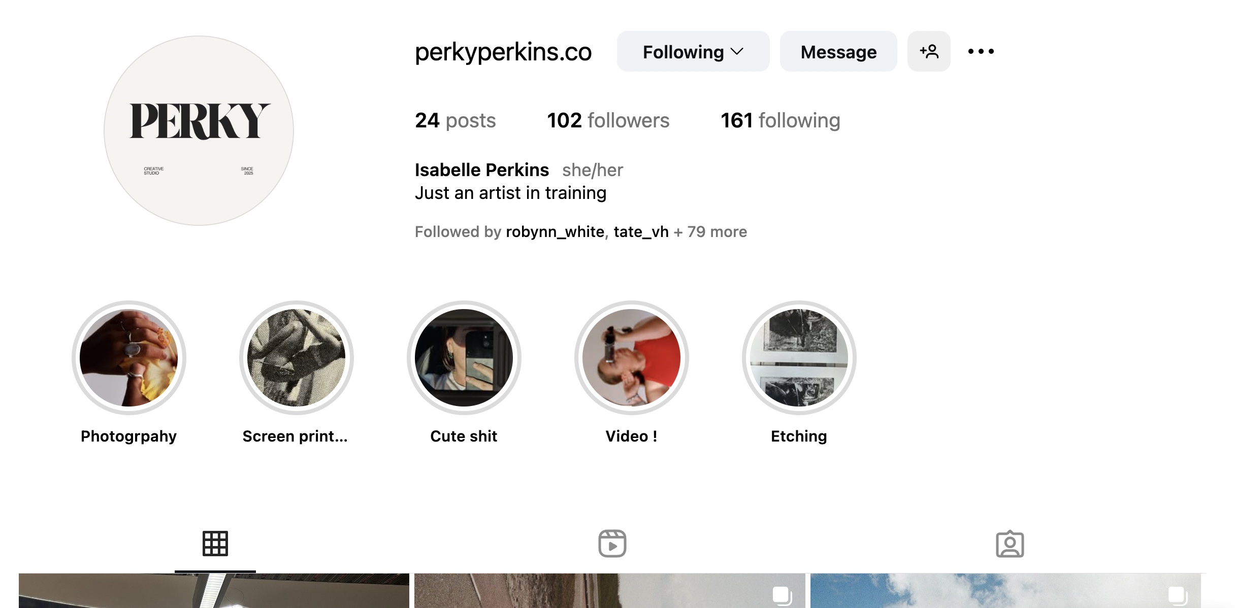 'Perkyperkins.co', 2025. Instagram