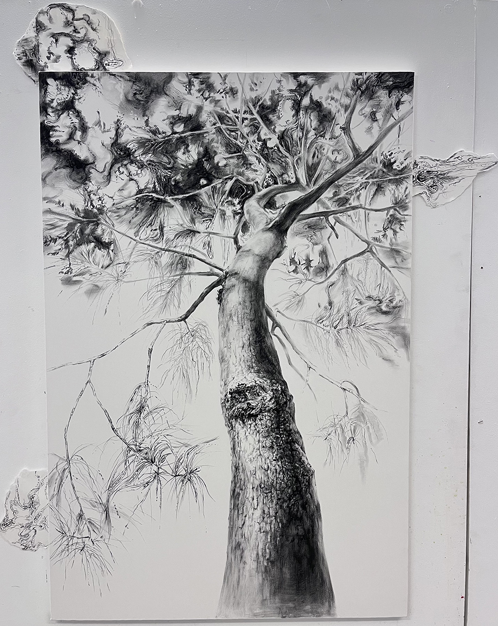 Untitled, 2025. Charcoal on paper