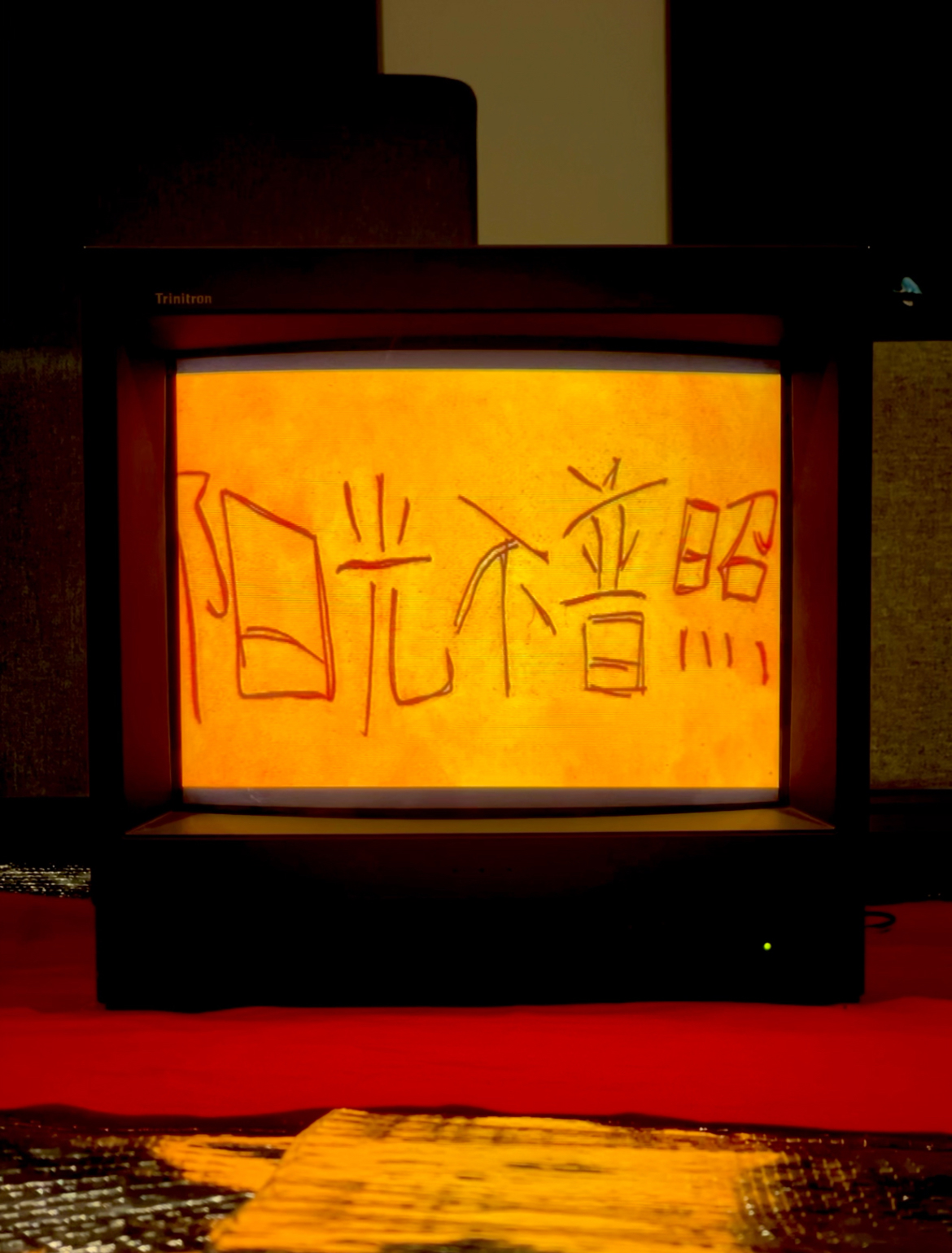 'Documentation', 2025. Video installation