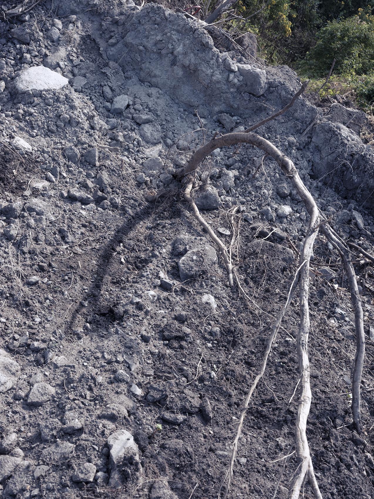'CONSTRUCTED LAND', 2025. Archival inkjet print