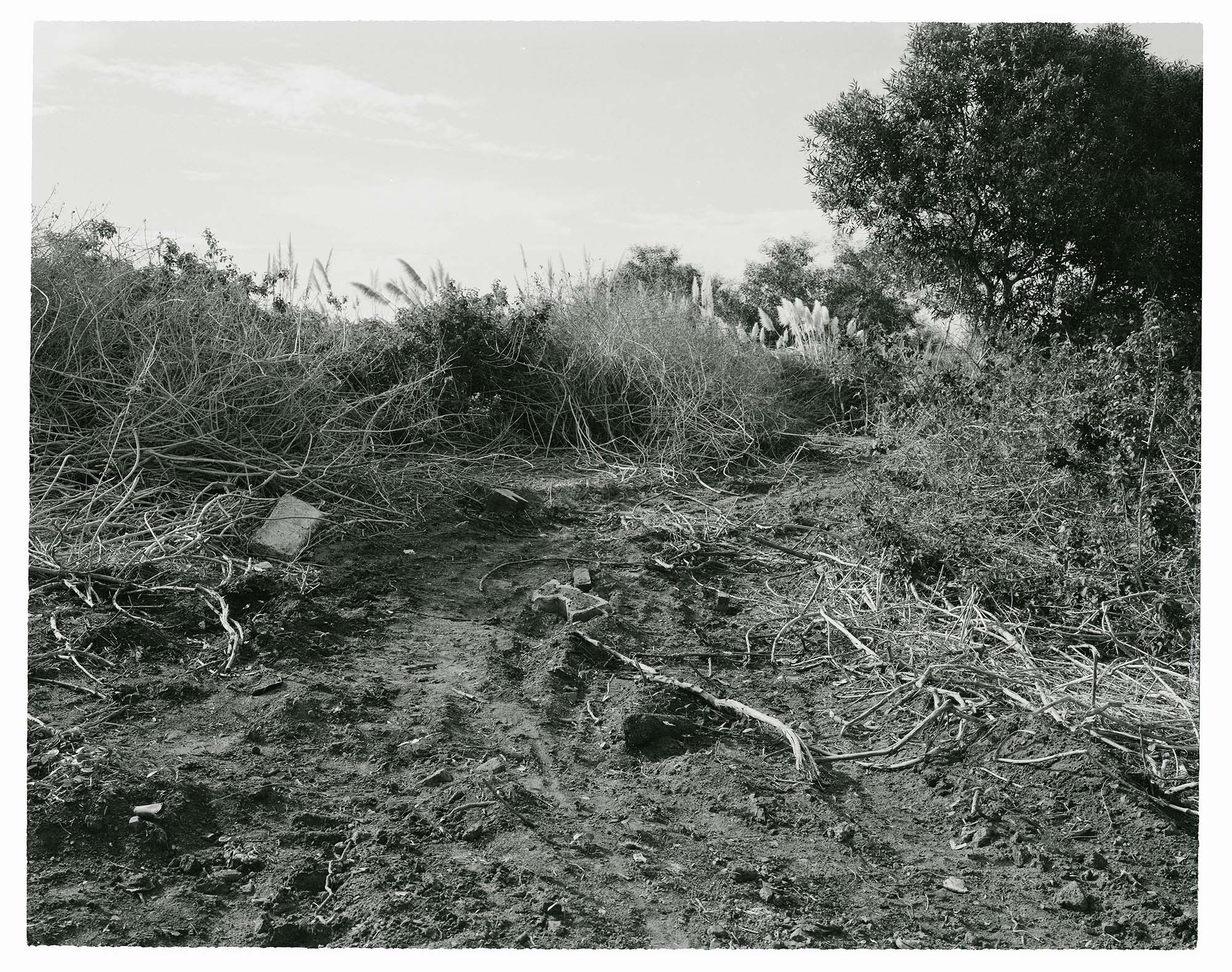 'Peripheral Image', 2025. Fibre silver gelatin print