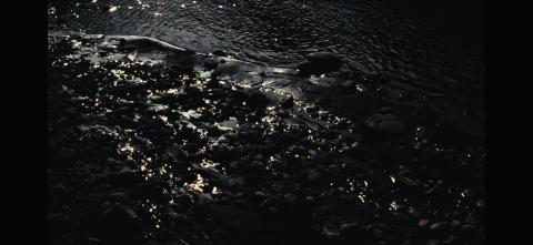 In the Flow: Text within Artistic Practice