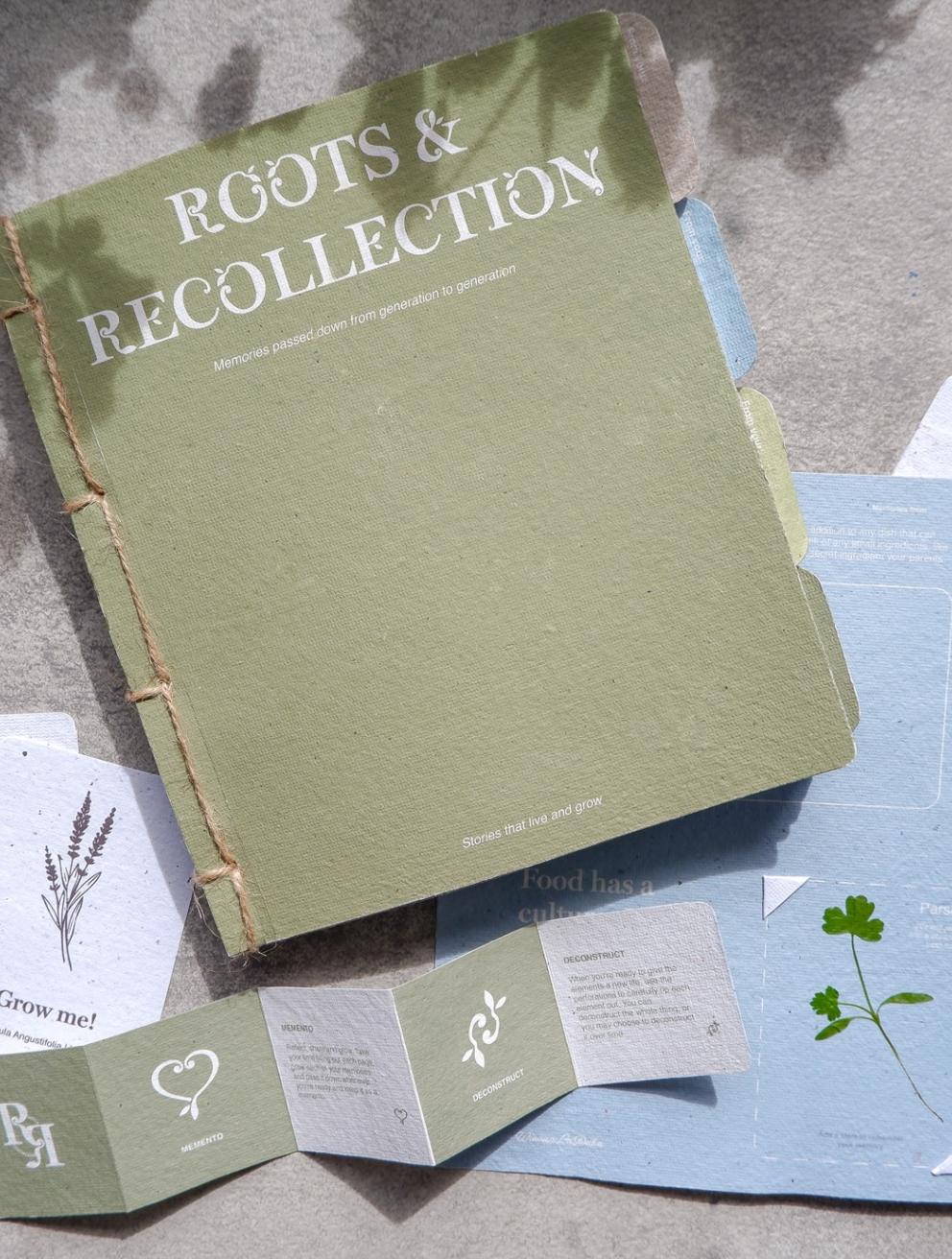 'Roots & Recollection', 2025. Mixed media publication