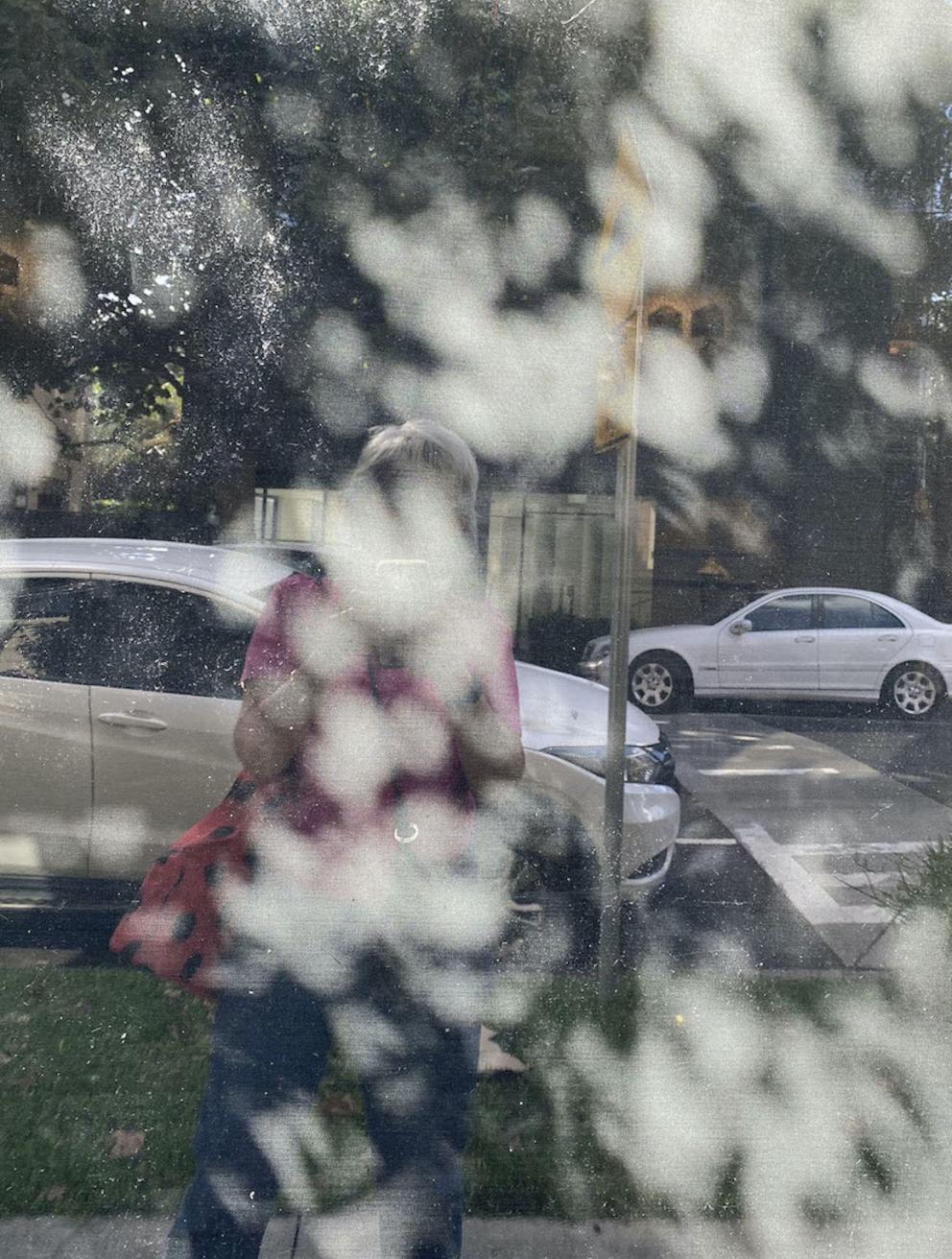 Untitled, 2025. Expanded photography
