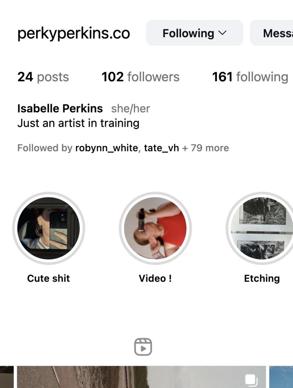 'Perkyperkins.co', 2025. Instagram
