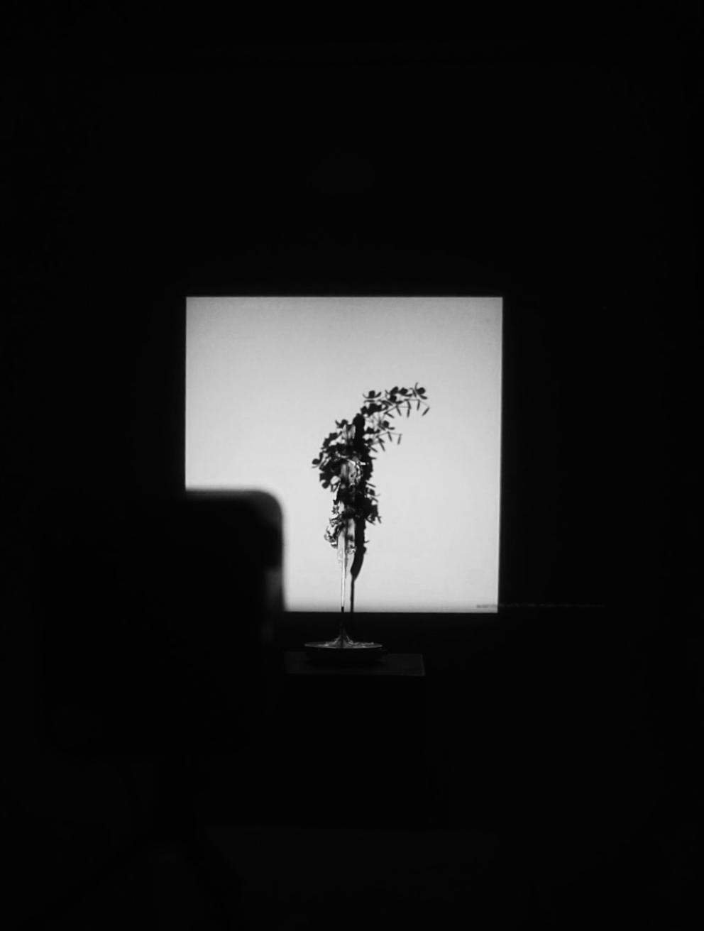 'Sword & Flower', 2025.