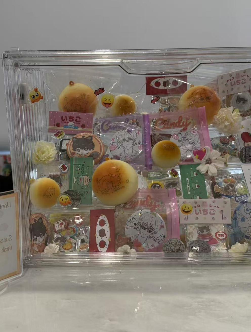 'Echoed Voice', 2025. Mixed media installation (display box, printed fan merchandise)