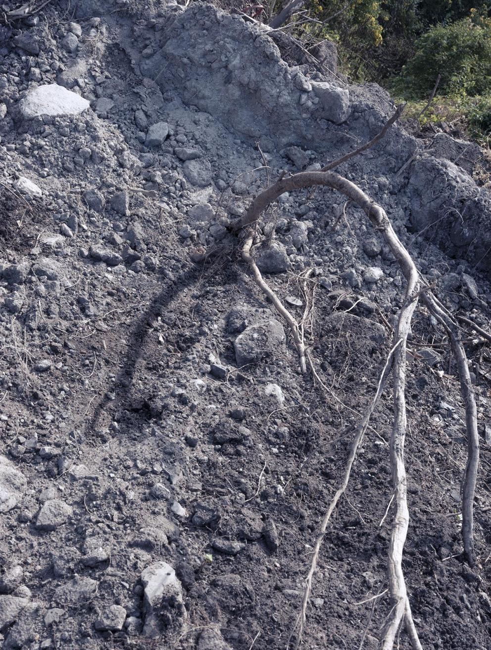 'CONSTRUCTED LAND', 2025. Archival inkjet print