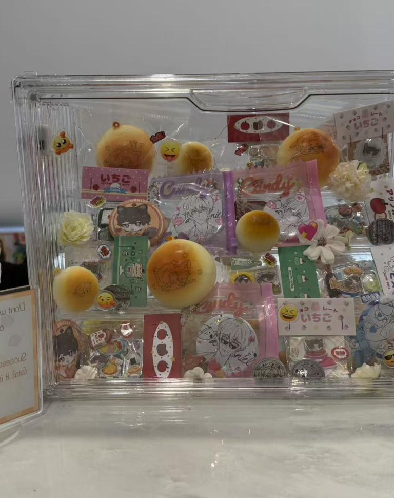 'Echoed Voice', 2025. Mixed media installation (display box, printed fan merchandise)
